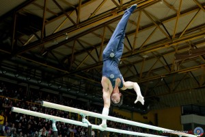 gpg ph simone ferraro sfa09446a copia